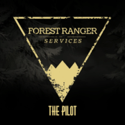 Forest Ranger Services: The Pilot