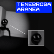 Tenebrosa Aranea